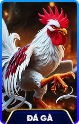 78WIN ⚽️ Trang Đăng Nhập 78WIN.COM | Đăng Ký T/4 2026 +78k 3 da ga 78win school